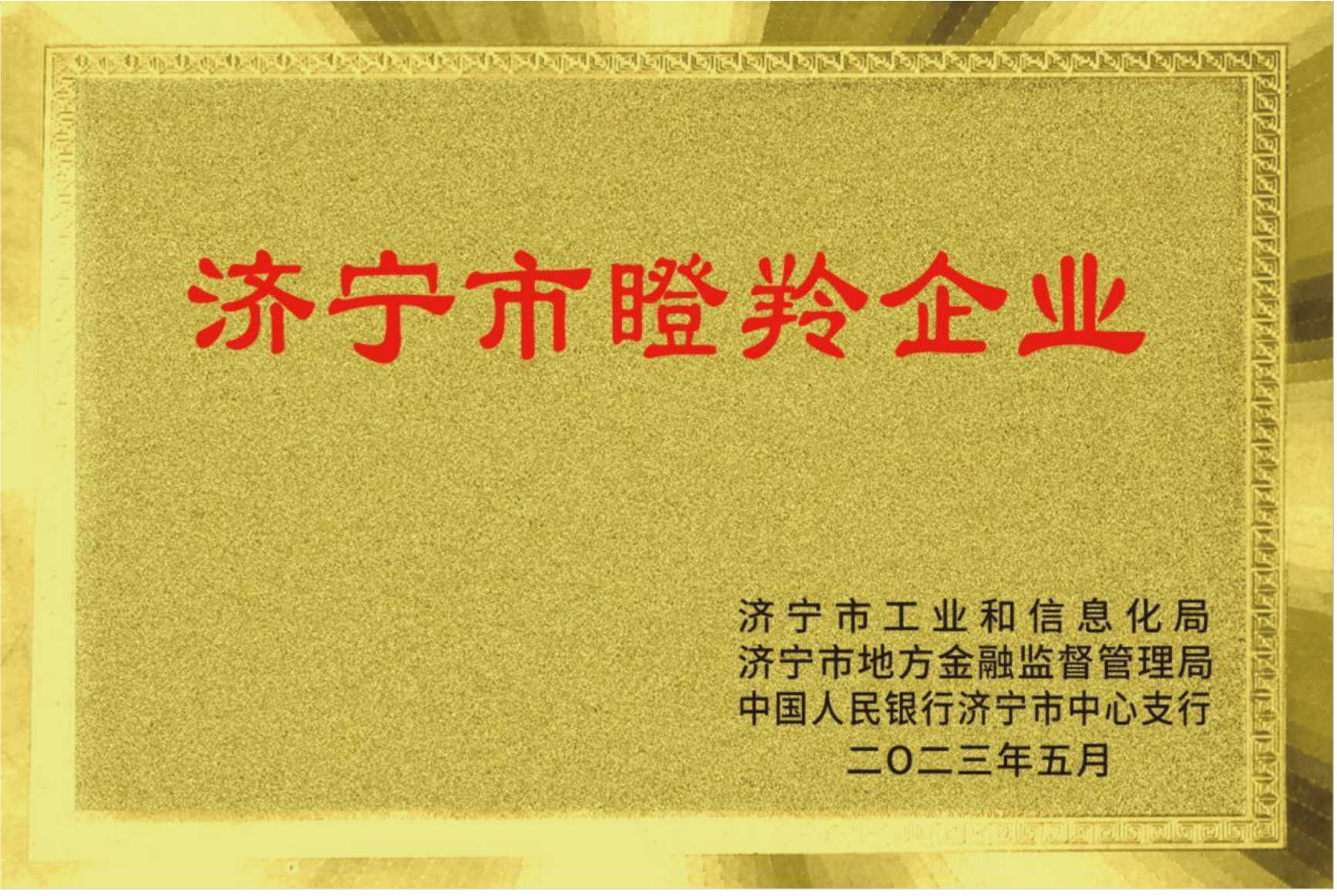 濟(jì)寧市瞪羚企業(yè) 濟(jì)寧市瞪羚企業(yè)